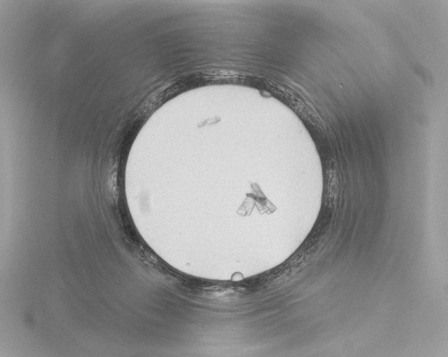 X0000115520267200912181512