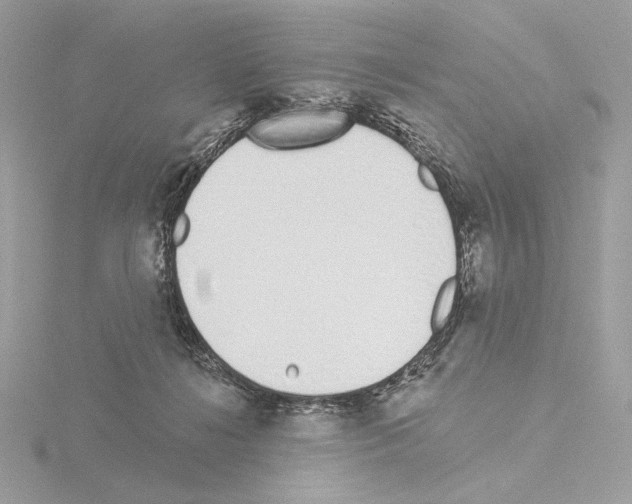 X0000115520268200912181512