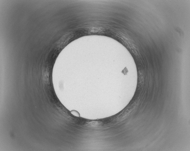 X0000115520269200912181512