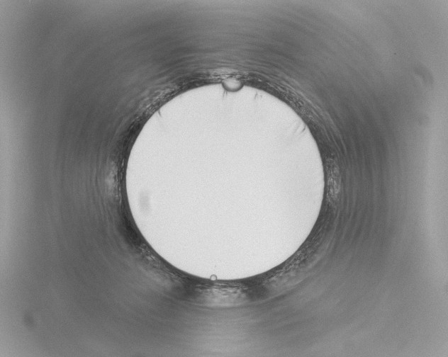 X0000115520270200912181512