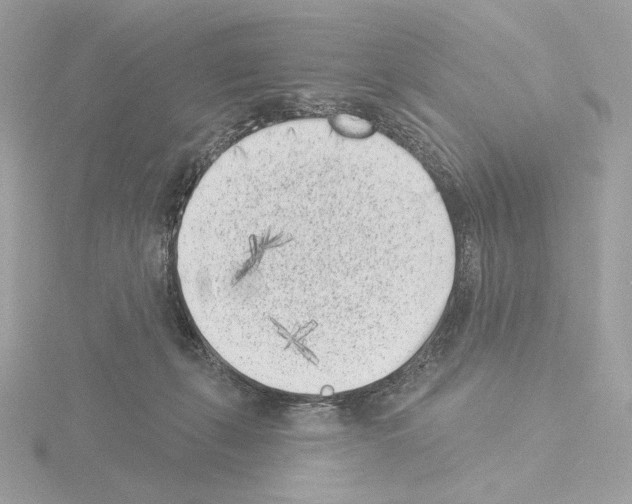 X0000115520271200912181512