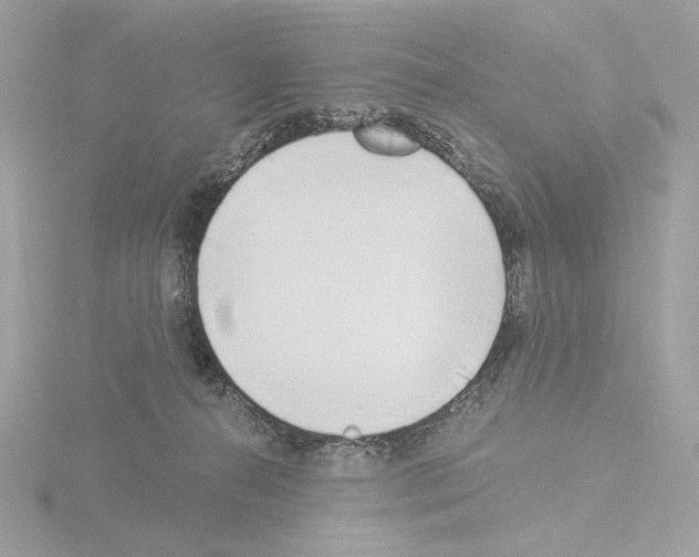 X0000115520272200912181512