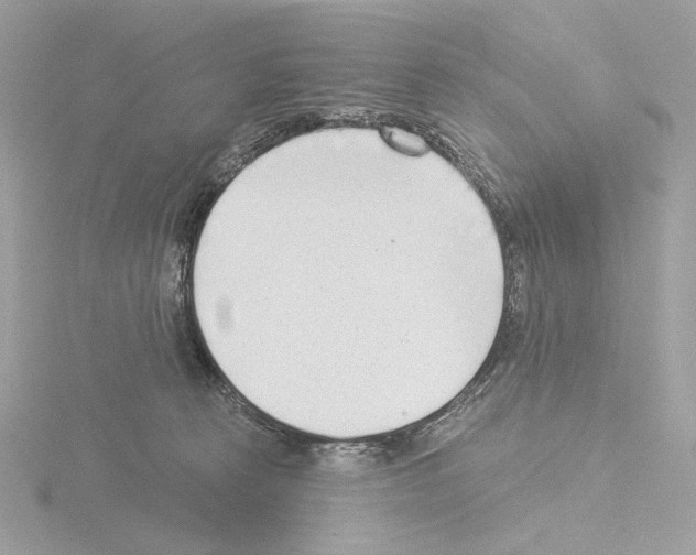 X0000115520273200912181512