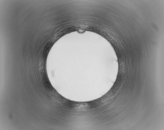 X0000115520274200912181512