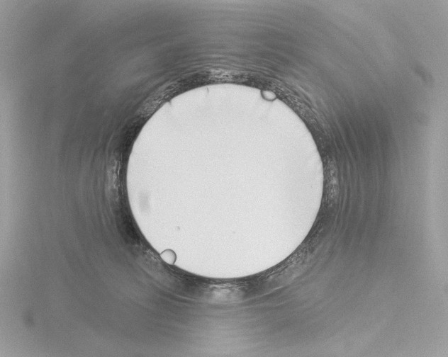 X0000115520275200912181512