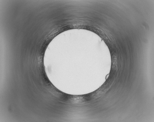 X0000115520278200912181513