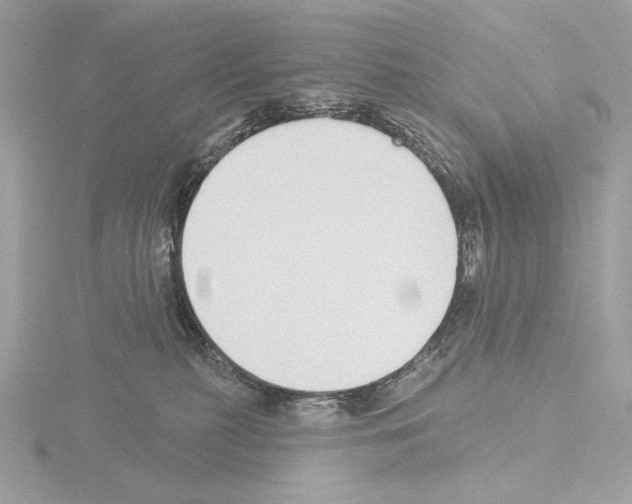 X0000115520279200912181513