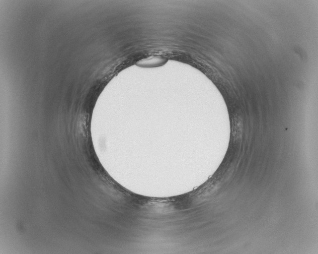 X0000115520280200912181513