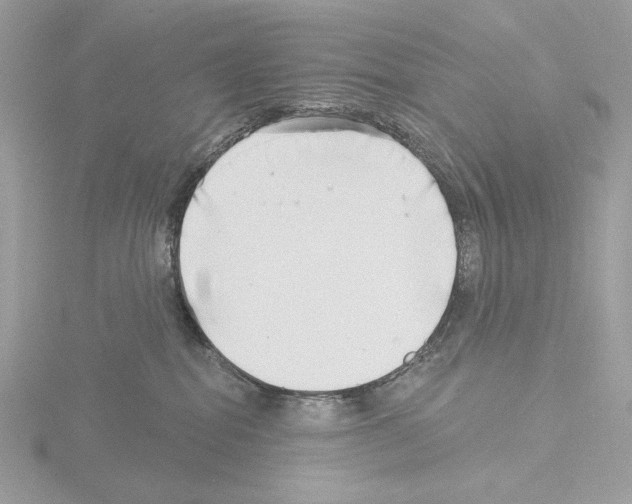 X0000115520282200912181513