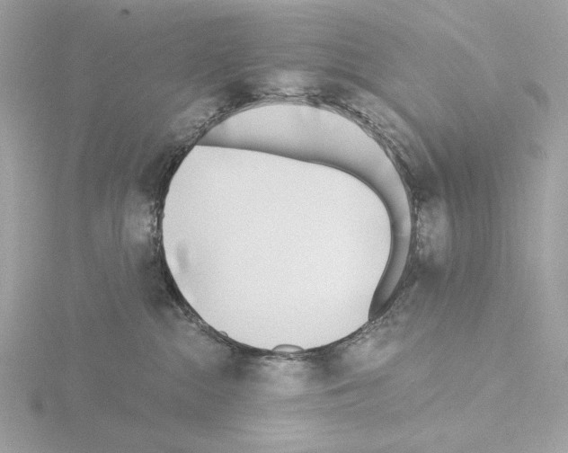 X0000115520284200912181513