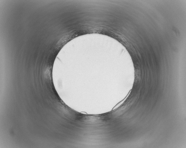 X0000115520286200912181513