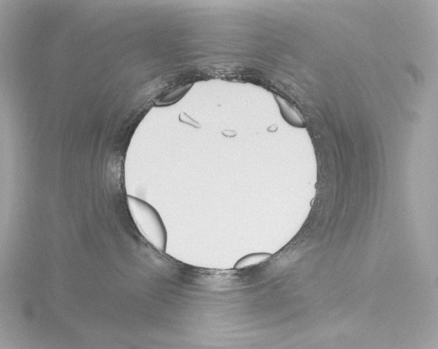 X0000115520288200912181513