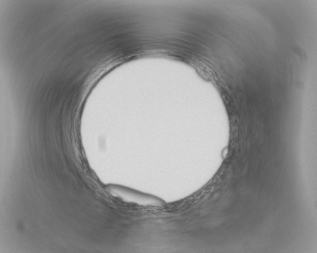 X0000115520289200912181512