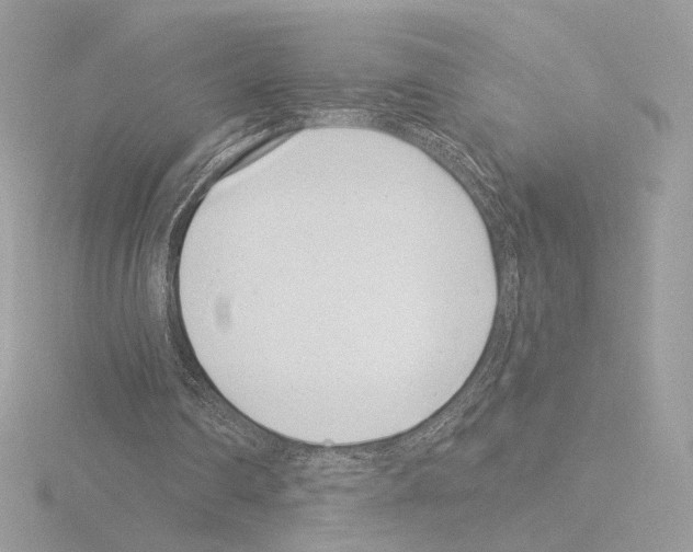 X0000115520290200912181512