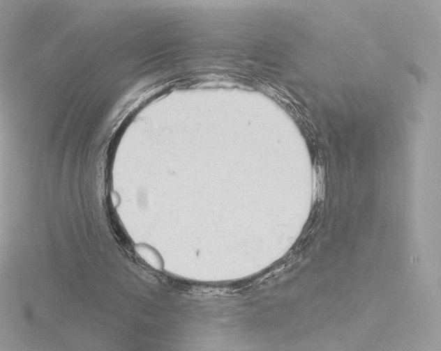 X0000115520291200912181512