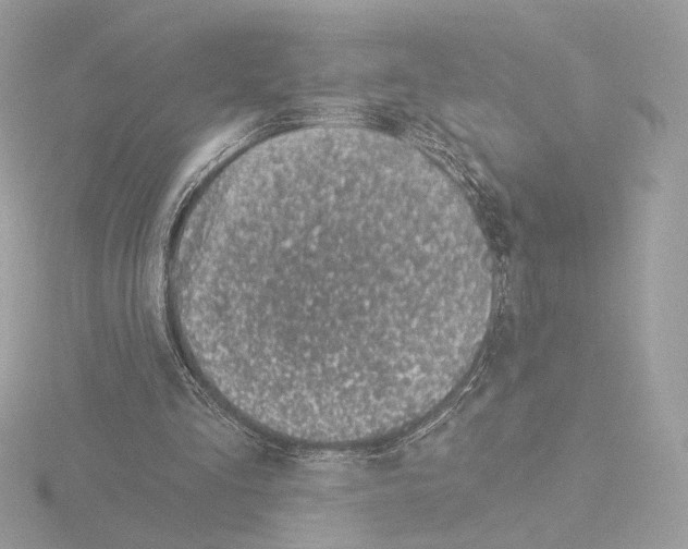 X0000115520293200912181512