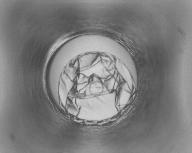 X0000115520294200912181512