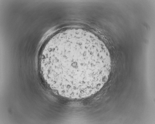 X0000115520296200912181512