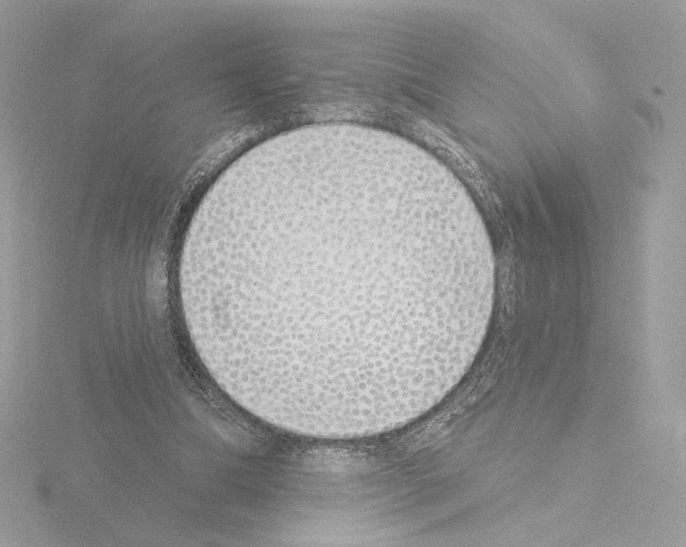 X0000115520298200912181512