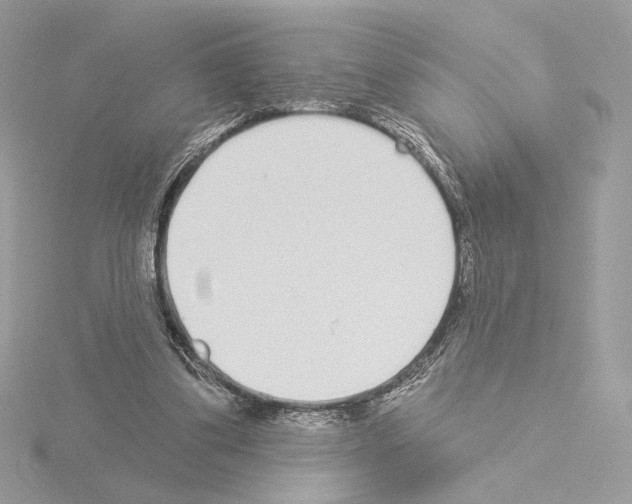 X0000115520299200912181512