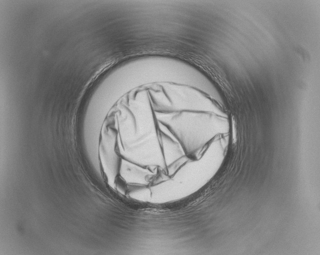 X0000115520300200912181512