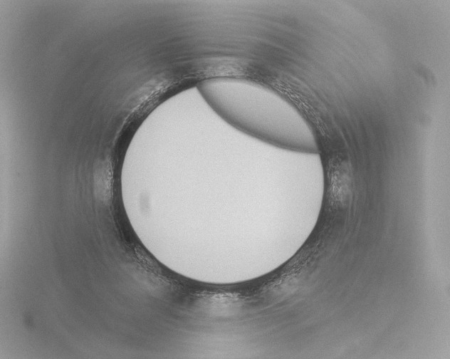 X0000115520304200912181512