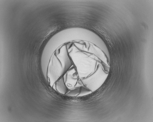 X0000115520308200912181512