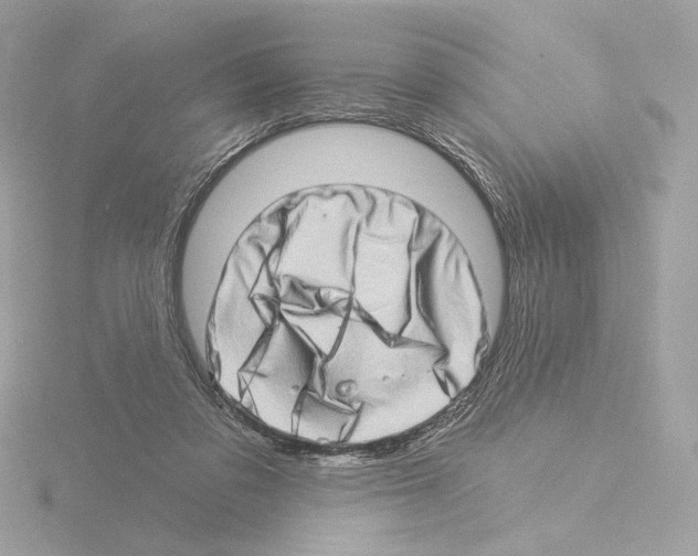 X0000115520309200912181512