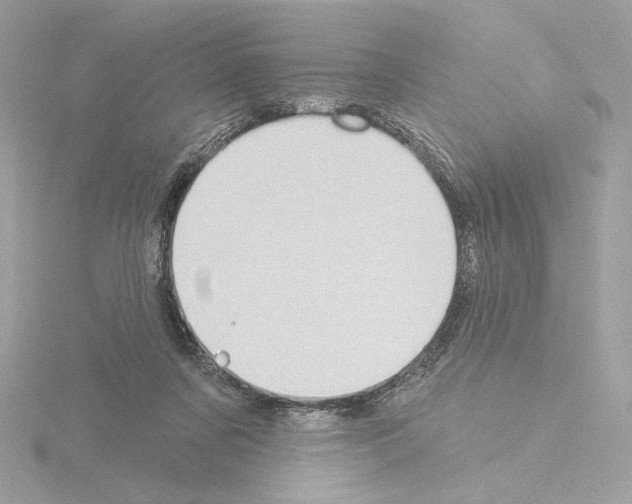 X0000115520311200912181512