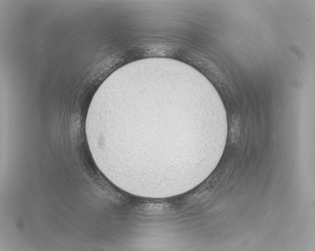 X0000115520314200912181512