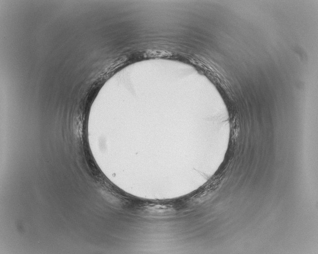 X0000115520315200912181512