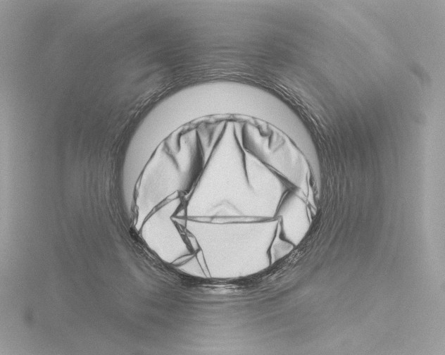 X0000115520316200912181512