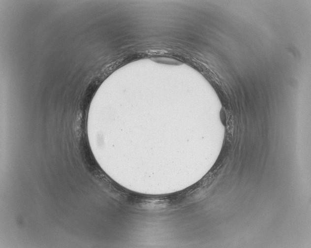 X0000115520319200912181512