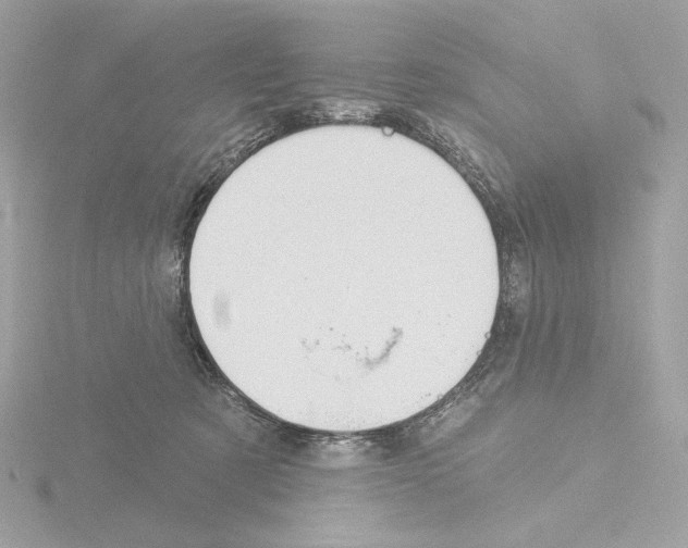 X0000115520321200912181512