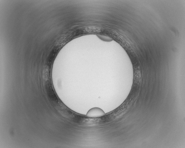 X0000115520323200912181512