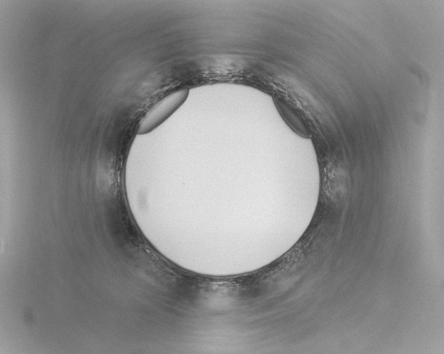 X0000115520324200912181512