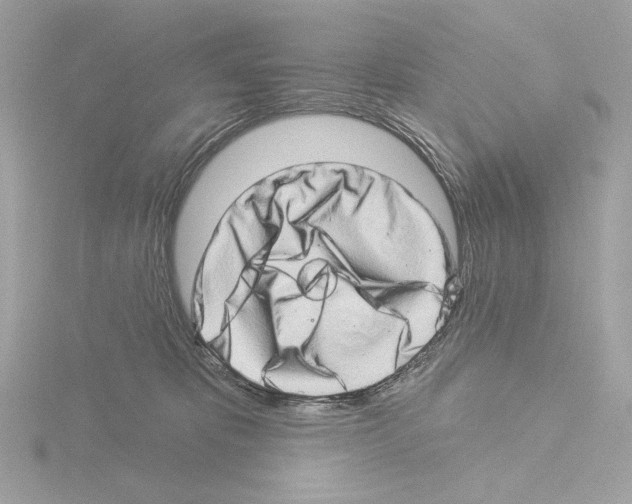 X0000115520325200912181512