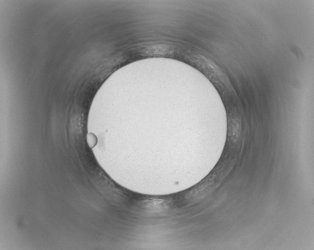 X0000115520326200912181512