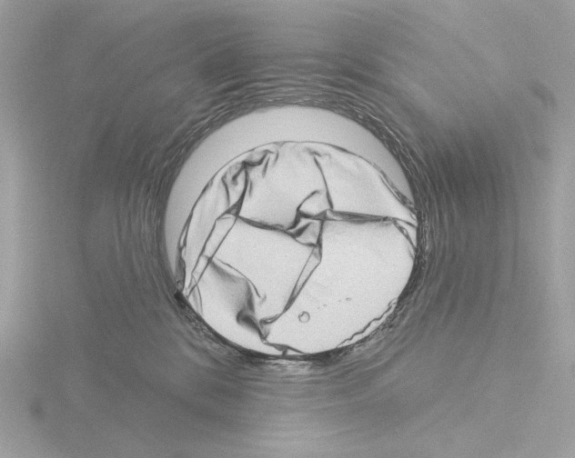 X0000115520328200912181512