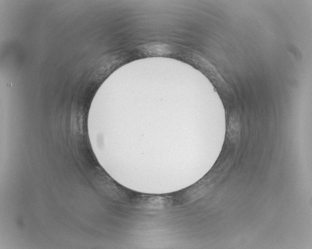 X0000115520330200912181511