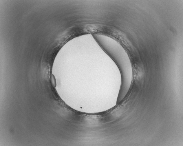 X0000115520332200912181511