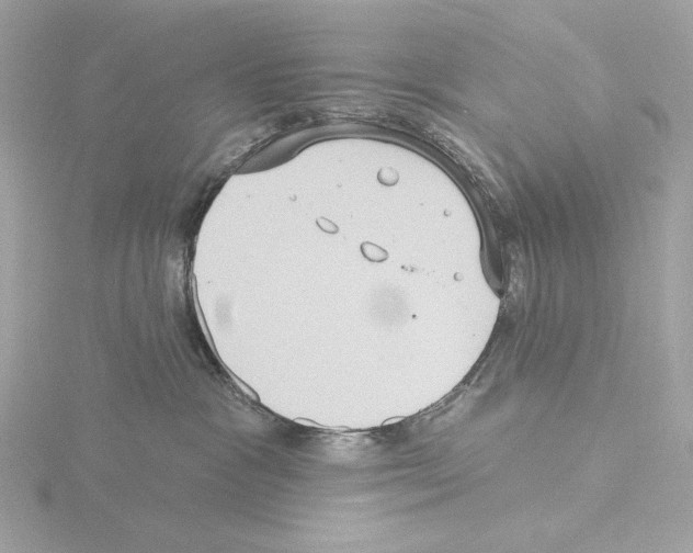 X0000115520333200912181511