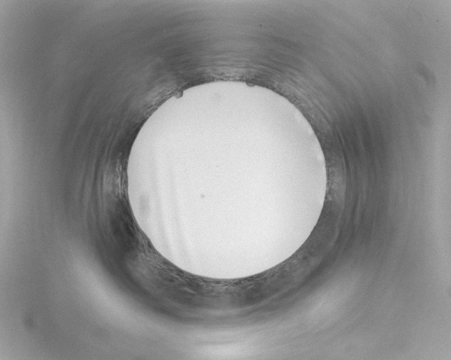 X0000115520334200912181511