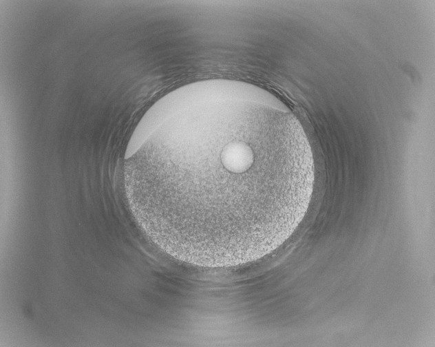 X0000115520336200912181511