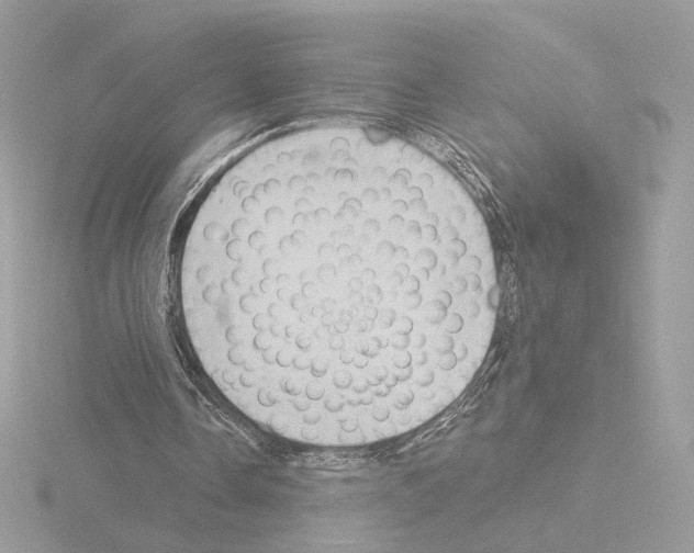 X0000115520338200912181511