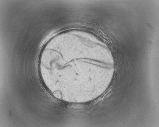 X0000115520341200912181511