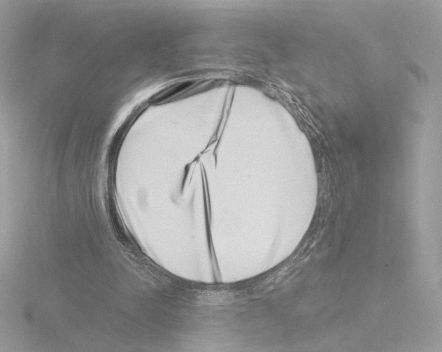 X0000115520342200912181511