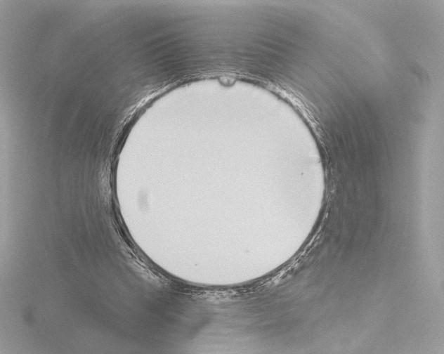 X0000115520345200912181511