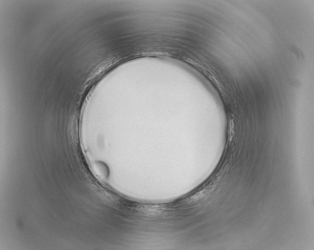 X0000115520349200912181511