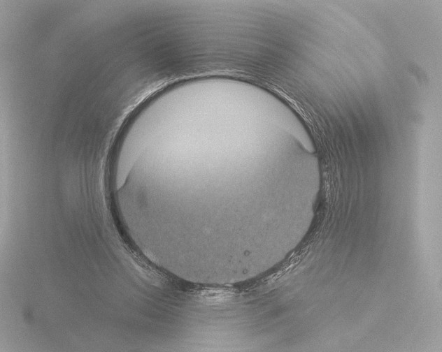 X0000115520350200912181511